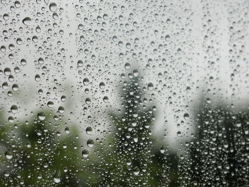 Este domingo se pronostican lluvias en gran parte del territorio nacional