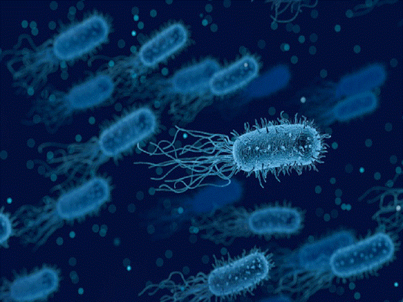 Bacterias podrían viajar de un continente a otro en el polvo atmosférico