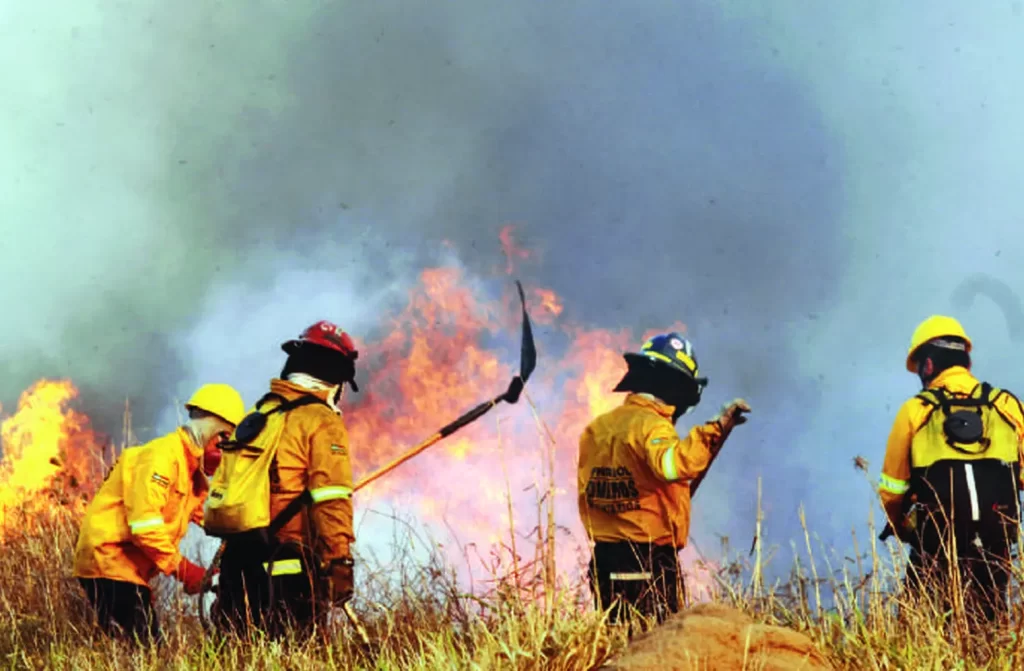 bomberos forestales