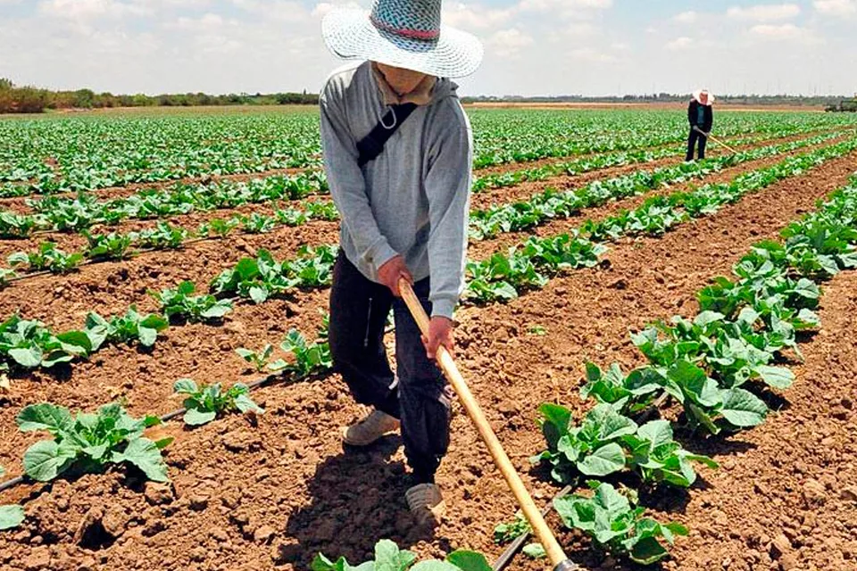 supervisan producción