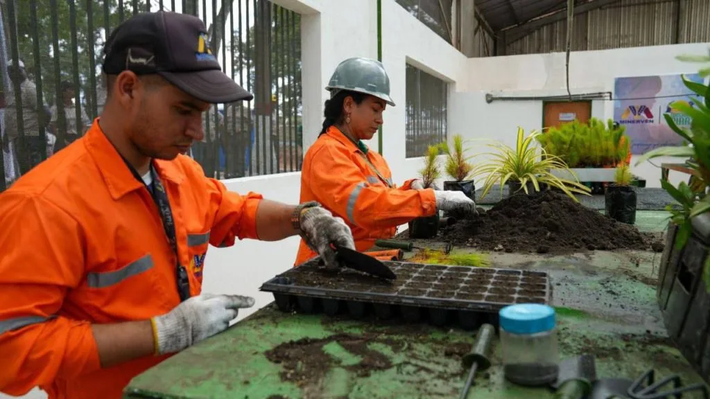 Inicia Plan de Reforestación